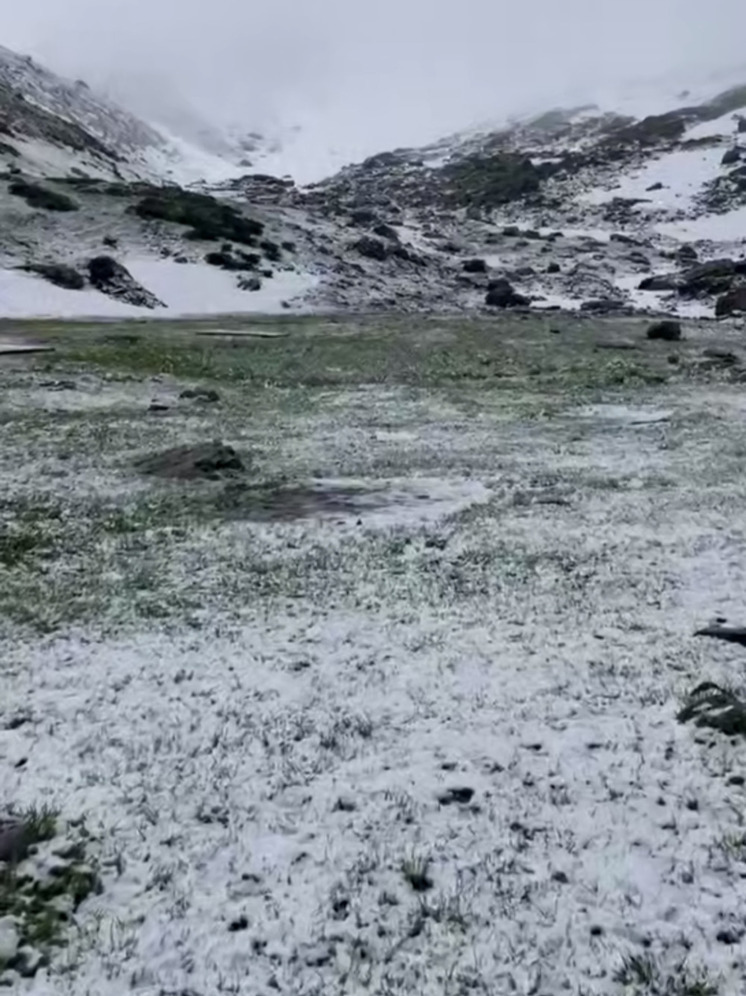 В сочинских горах 16 июня выпал снег