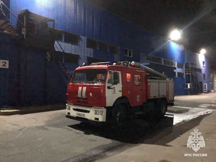 В Орловской области сотрудники МЧС выезжали на вызовы 84 раза за неделю