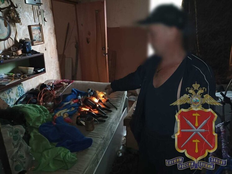 В Новомосковске МВД раскрыло домовую кражу 8 садовых светильников