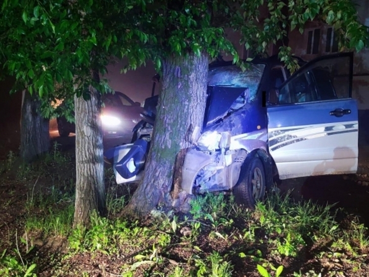 В ЕАО водитель погиб после столкновения машины с деревом