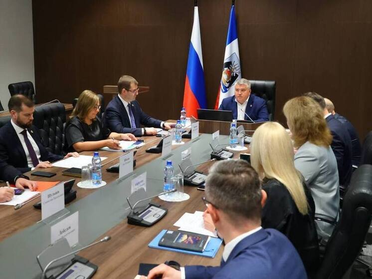 Александр Дронов поручил разработать стратегию развития Новгородской области