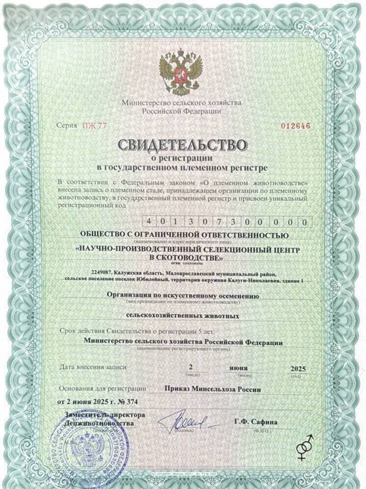 Малоярославецкий селекционный центр пополнят быки голштинской породы