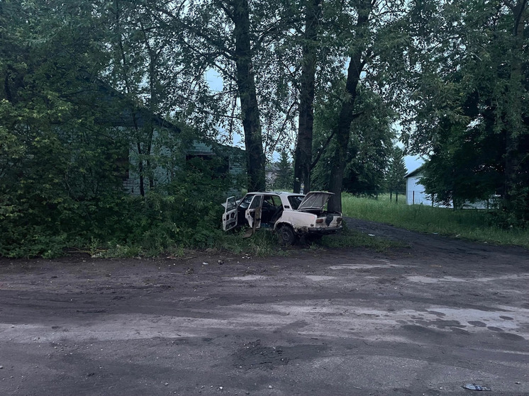 Под Орлом пьяный 18-летний водитель на «копейке» врезался в дерево