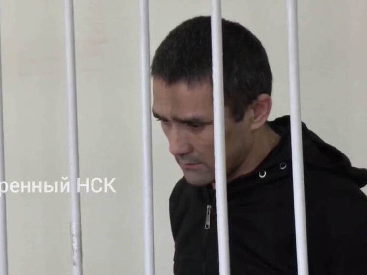 В Новосибирске начался суд над мигрантом, убившем целую семью