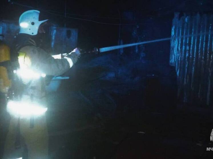 Пенсионерка погибла на пожаре в селе под Старобельском