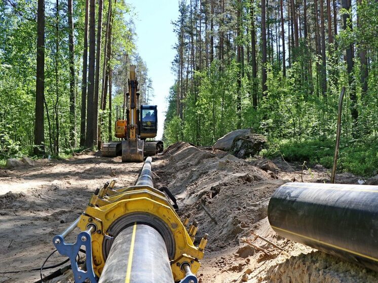 В деревне Северик Псковского района построен  внутрипоселковый газопровод
