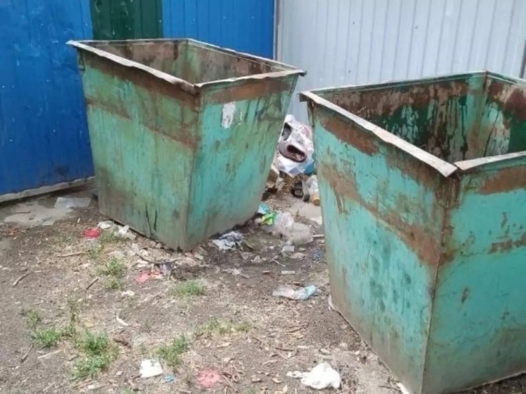 В Цимлянске жители задыхаются от гниющего мусора из-за отсутствия контейнеров
