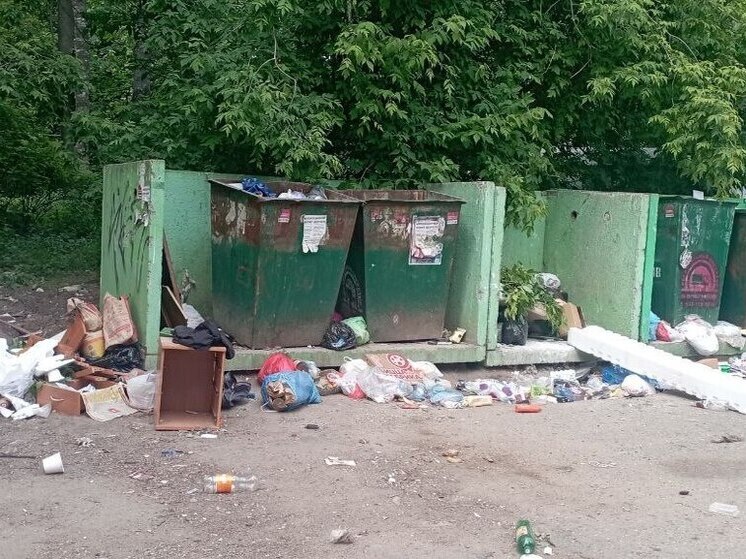 Зафиксировано около 600 случаев нарушения сроков вывоза отходов с ивановских помоев
