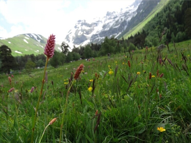 Ставропольцам рассказали, почему в Митрофанов день нужно удобрять землю