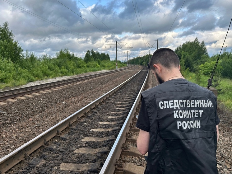 Женщина погибла на железной дороге в Нее