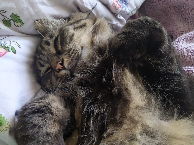 Фронтальные разделы принесли дожди и грозы в Приморье