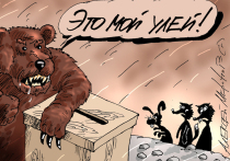 В Нижнеилимском муниципальном округе потихоньку разгорается целый политический скандал