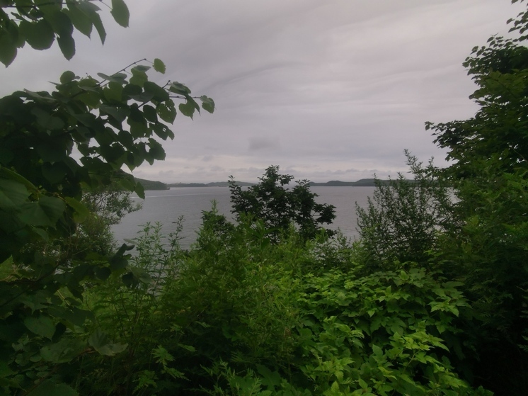 Жара сменится дождями: Приморье ждет переменчивая погода на неделе