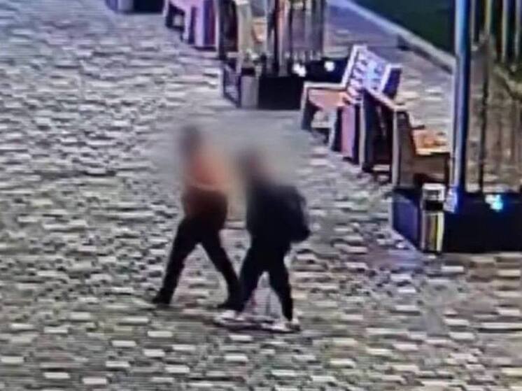 Известного японца убили средь бела дня в Приморье: подозреваемый задержан в Москве