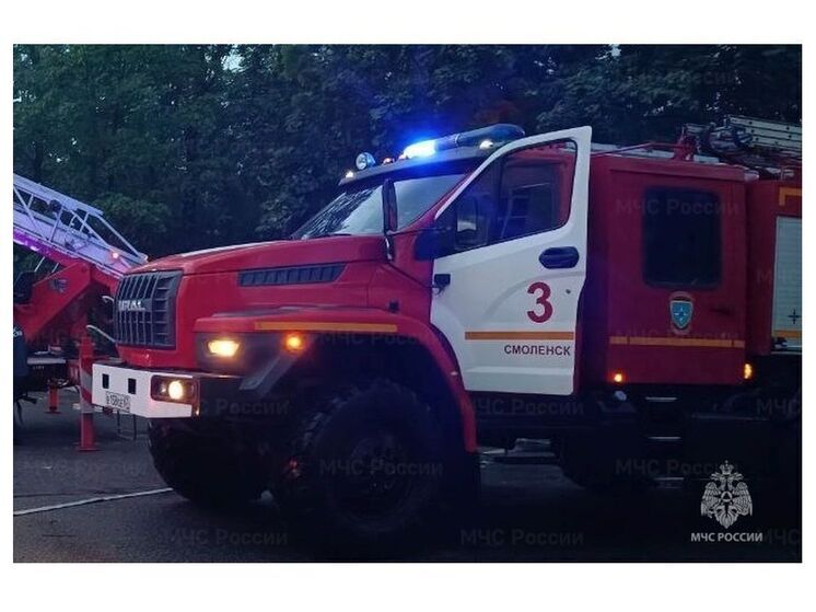 В Смоленске на Радищева сгорела легковушка