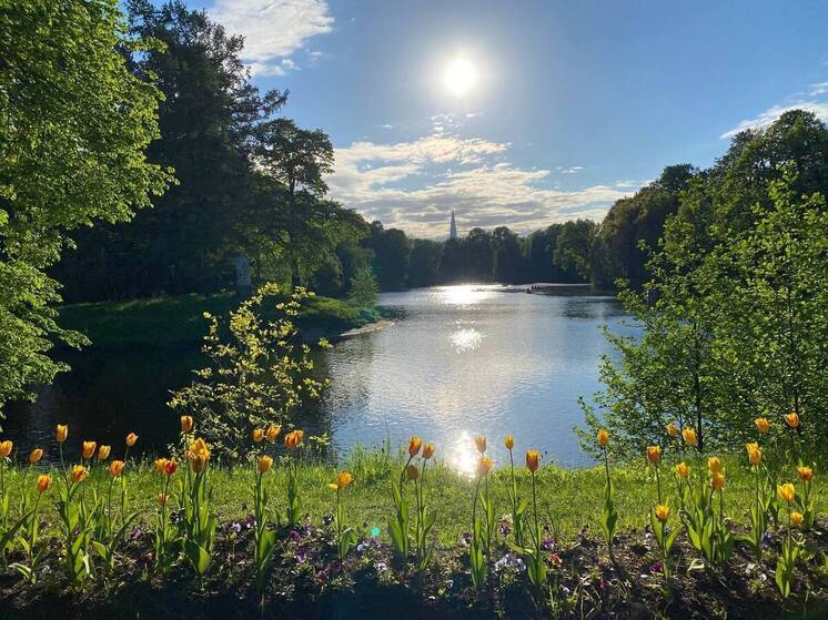 В МЧС Хакасии дали советы, как спастись от адской жары