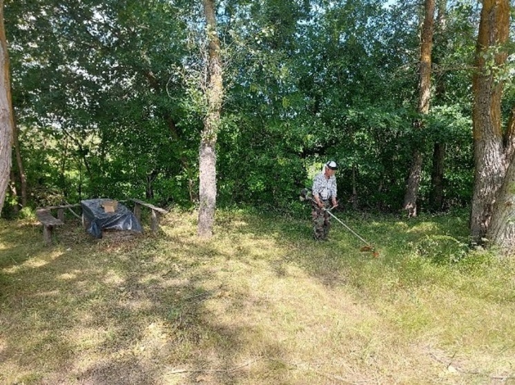 В волгоградских природных парках готовятся к летнему приему туристов