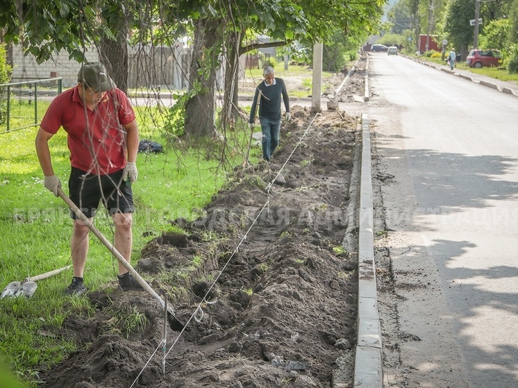 В Брянске на улице Димитрова появится новый тротуар
