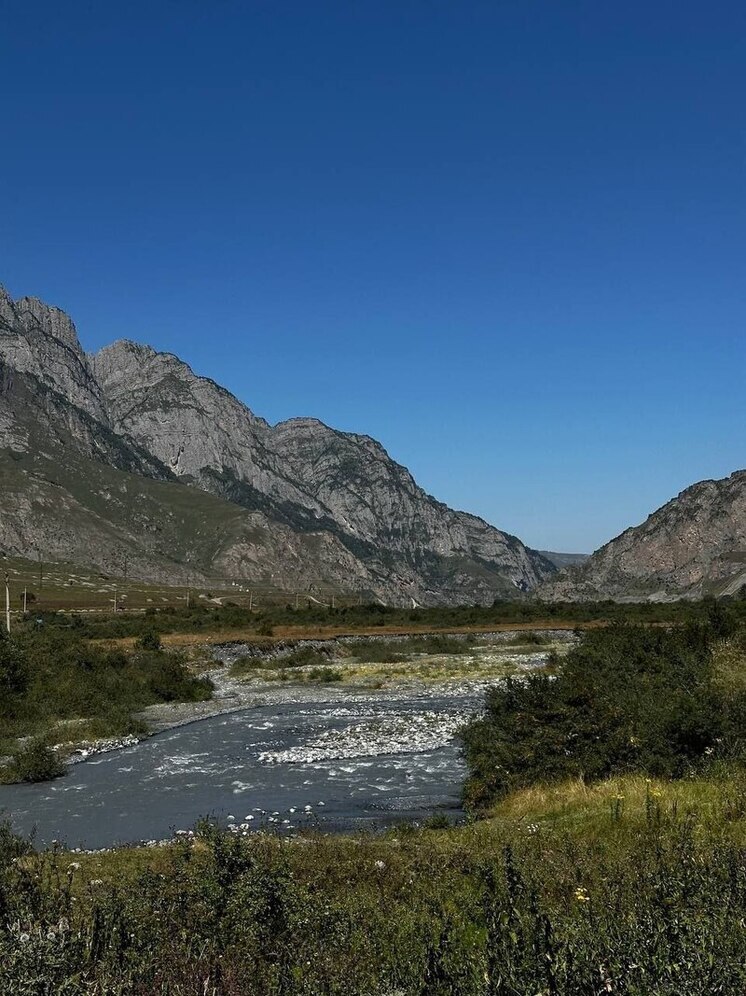 В Северной Осетии медвежонка, принесенного рекой на базу отдыха, кормят кашей и фруктами