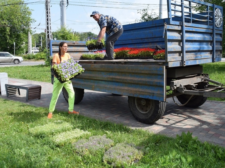 В Иванове цветочные клумбы продолжат создавать до конца июня