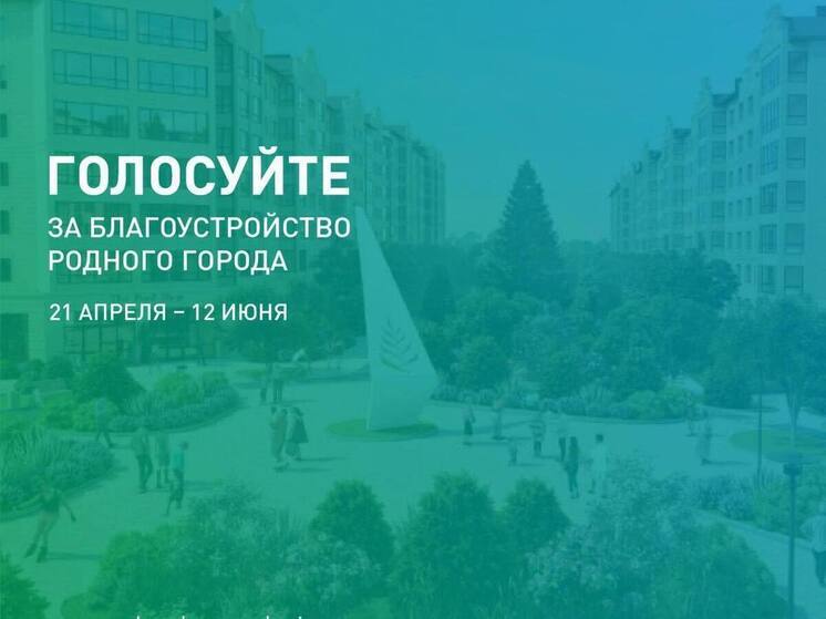 В голосовании на благоустройство территории во Владимире приняли участие 53 тысячи человек