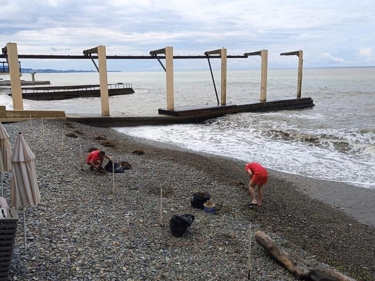 Пляжи Сочи по-прежнему закрыты для купания