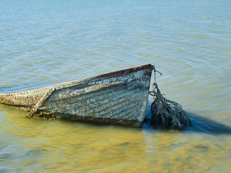 Ватикан скрывает карту потопа: Рукописи XVI века предсказывают судьбу Земли