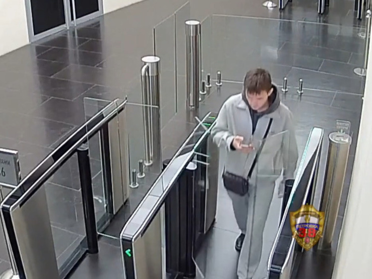 Полиция задержала курьера из Барнаула за кражу 1,5 млн рублей у 75-летнего москвича