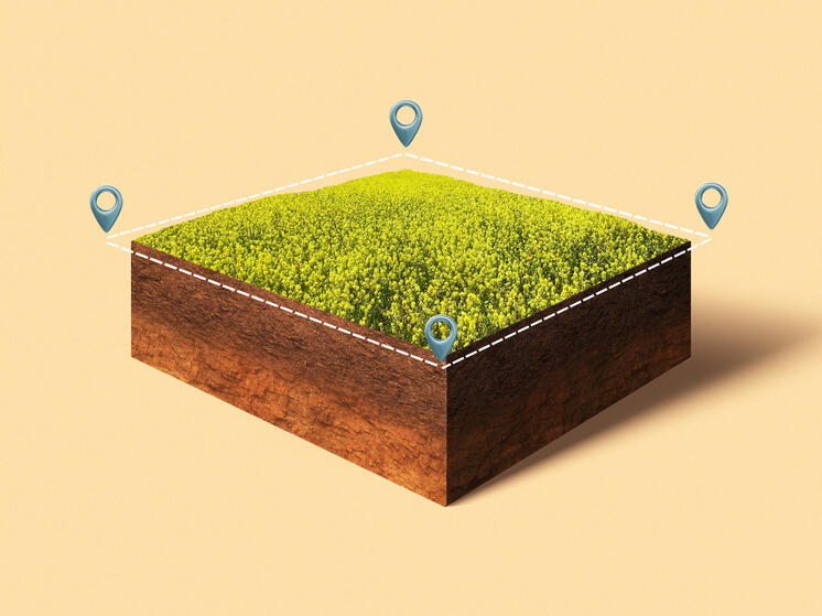  Прокуратура Марий Эл вернула Волжску земельный участок