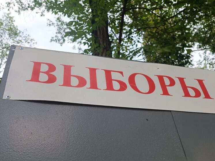 Выборы губернатора ЕАО будут длиться три дня