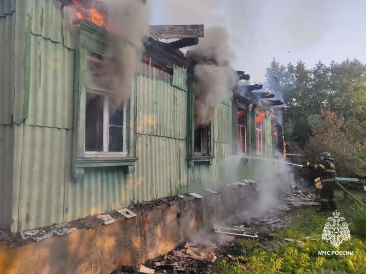 В Тульской области на пожаре под Алексином погиб мужчина