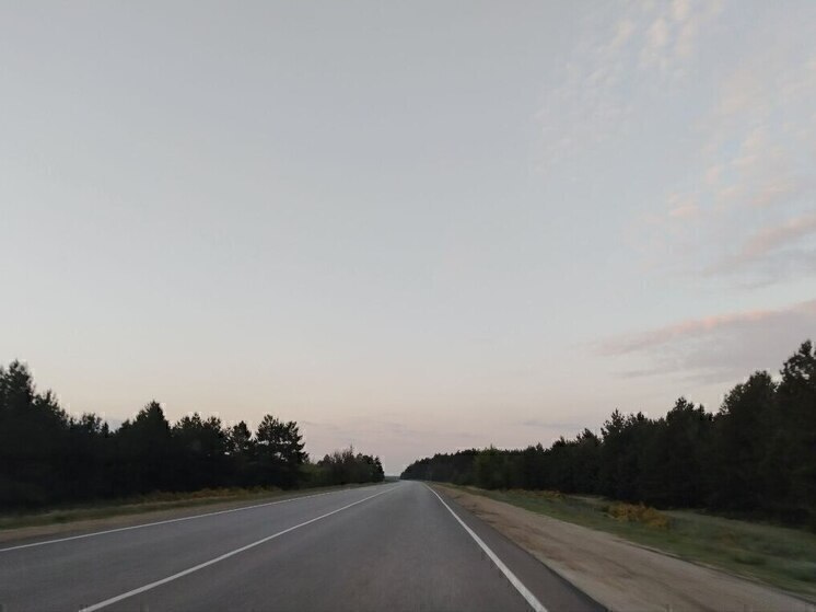 «Полный бардак»: белгородка – о разметке в облцентре