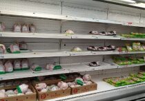 В детском лагере «Орлёнок», который находится в Калачинском районе, при проверке нашли куриное филе, заражённое сальмонеллой