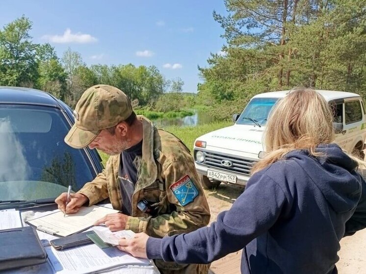 Праздничные выходные обернулись 82 правонарушениями на природе в Ленобласти