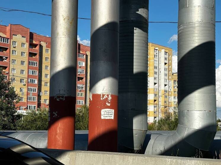 Бабушка в зимней одежде шокировала новосибирцев в аномальную жару +32°C