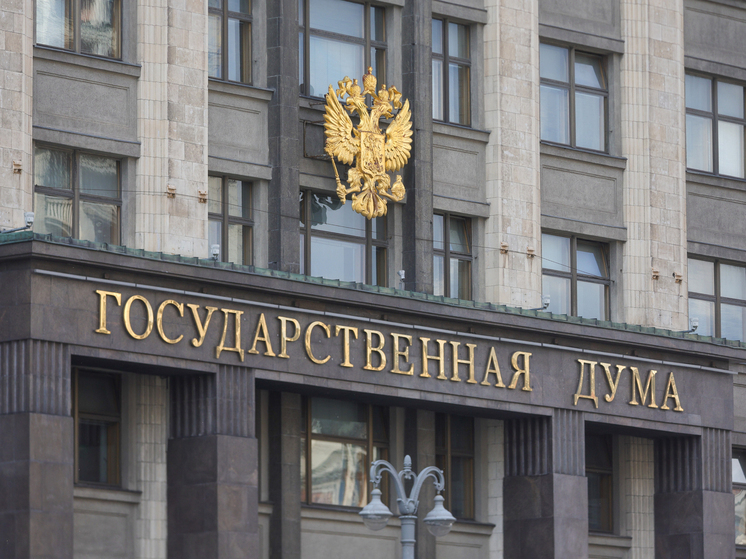 Нилов: идею замены январских и майских каникул на шесть сокращенных недель нужно изучать