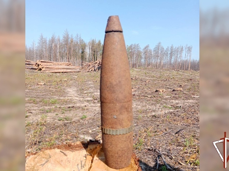 Опасный артиллерийский снаряд нашли в лесу Курганской области