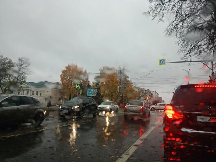 За выходные пензенские автоинспекторы выявили 58 нетрезвых водителей