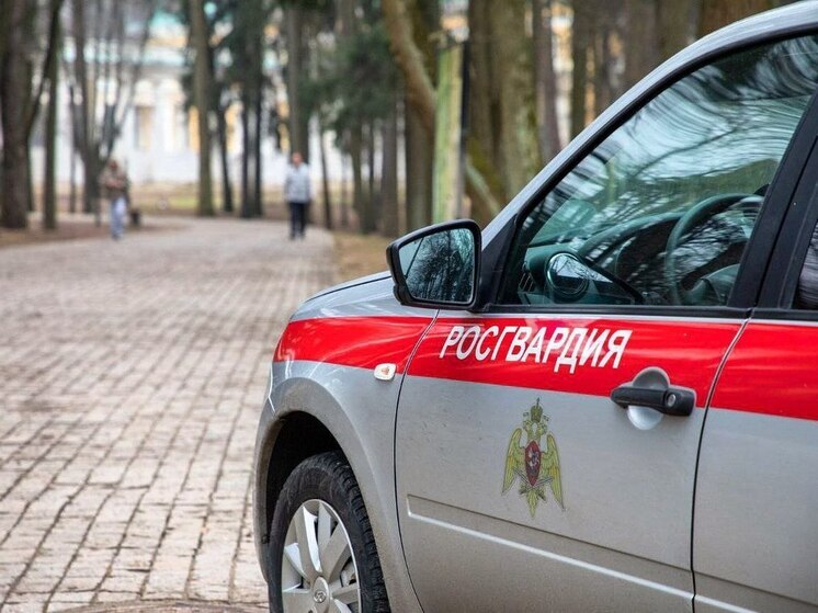 Двое парней попытались украсть из гипермаркета технику на 30 тысяч рублей