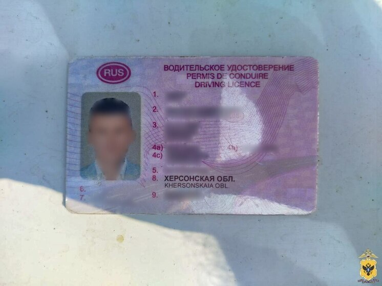 В Херсонской области поймали мужчину с поддельным водительским удостоверением