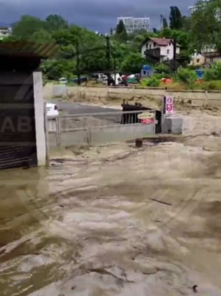 Вильфанд рассказал о возможных подтоплениях в Сочи