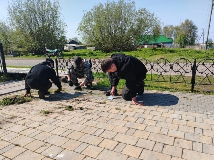 Более 500 школьников НАО заняты временными работами в июне