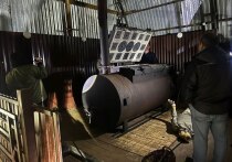 Выяснились новые подробности жестокого убийства, в котором подозревают адвоката Московской коллегии адвокатов