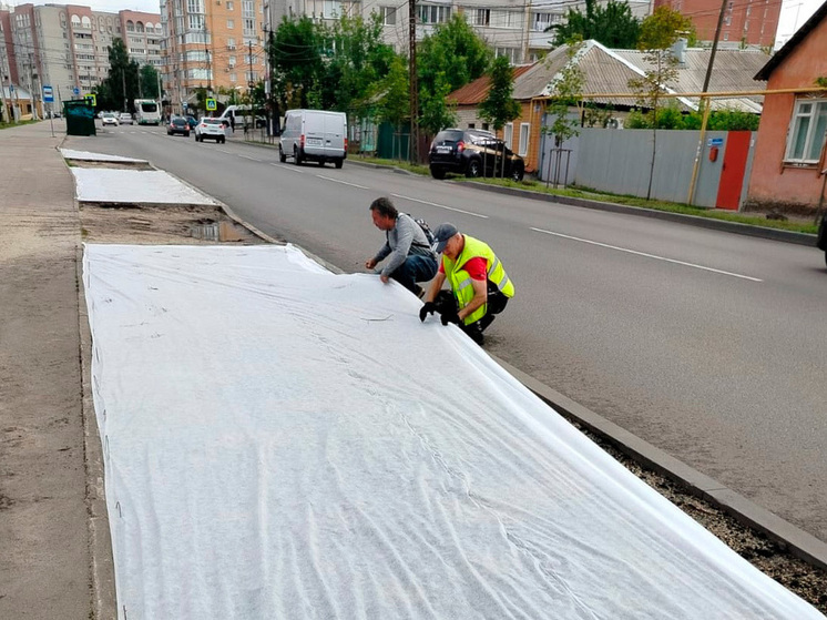 В Воронеже создают новый газон площадью около 3 тысяч квадратных метров
