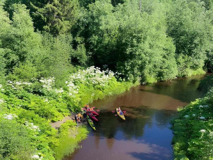 Новый водный экомаршрут на реке Сестра свяжет туристов Ленобласти и Петербурга