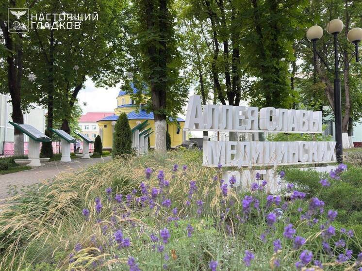 Гладков: двух белгородских фельдшеров посмертно наградили орденом Пирогова