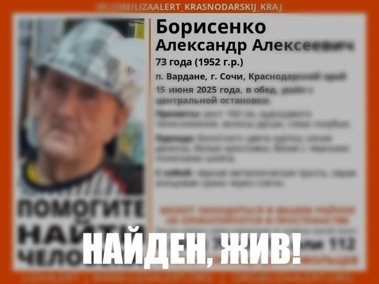 Дедушку, пропавшего в Сочи, нашли живым