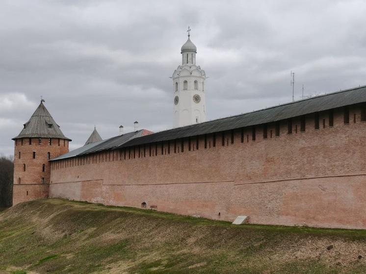 В Новгородской области пройдут дожди и грозы