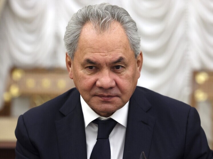 Шойгу: РФ и КНДР оценили взаимодействие по линии ВС при освобождении Курской области