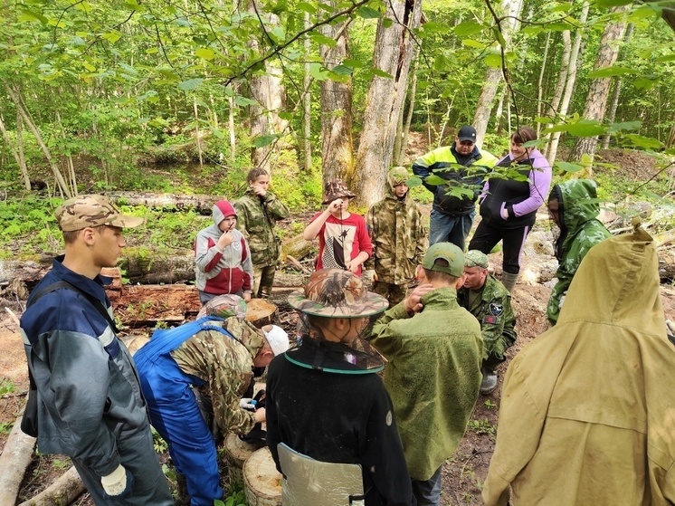 Останки советских солдат искали в Дновском районе